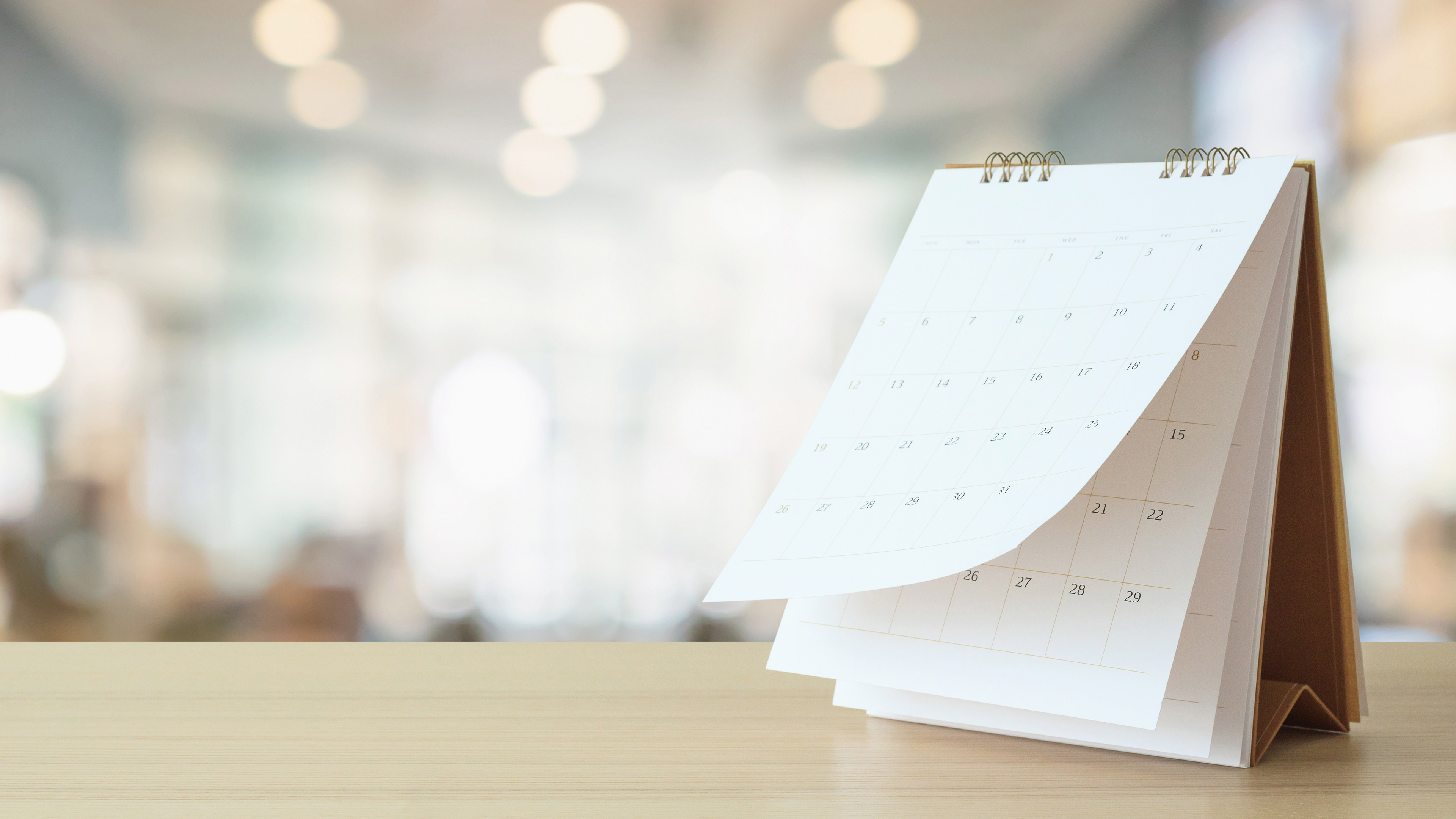 Hintergrundbild für Termine